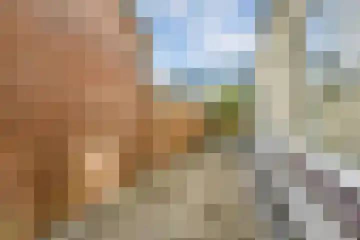 Amaliastraat 14 Utrecht thumbnail 18