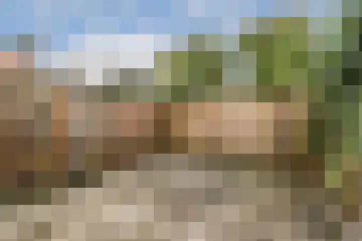 Amaliastraat 14 Utrecht thumbnail 19