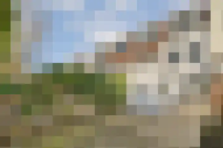 Amaliastraat 14 Utrecht thumbnail 20