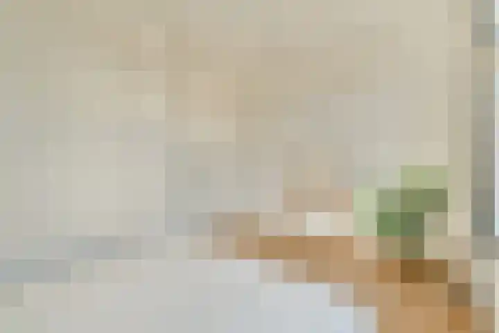 Amaliastraat 14 Utrecht thumbnail 23