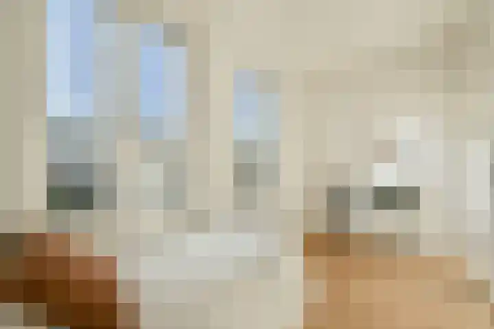Amaliastraat 14 Utrecht thumbnail 24