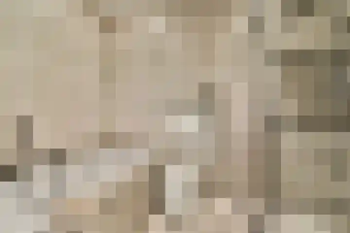 Amaliastraat 14 Utrecht thumbnail 26