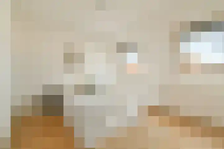 Amaliastraat 14 Utrecht thumbnail 33