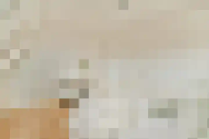 Amaliastraat 14 Utrecht thumbnail 34