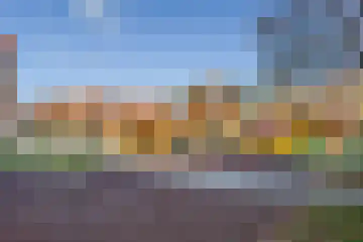 Amaliastraat 14 Utrecht thumbnail 37