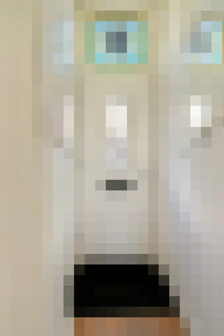 Amaliastraat 14 Utrecht thumbnail 7