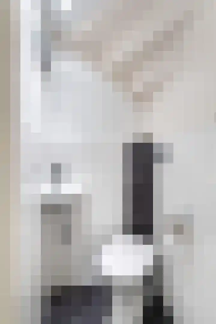 Amaliastraat 15 Sneek thumbnail 10