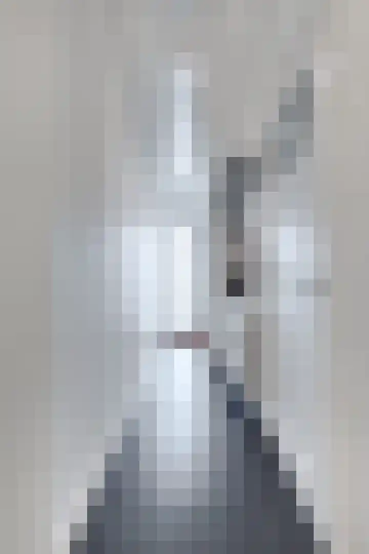 Amaliastraat 15 Sneek thumbnail 11