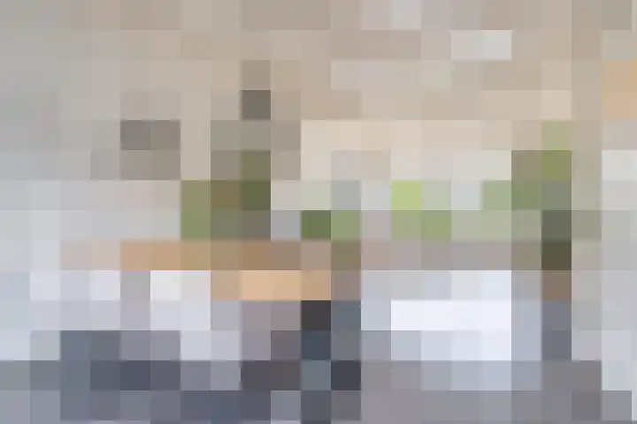 Amaliastraat 15 Sneek thumbnail 13