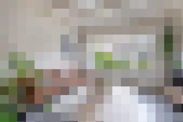 Amaliastraat 15 Sneek thumbnail 14