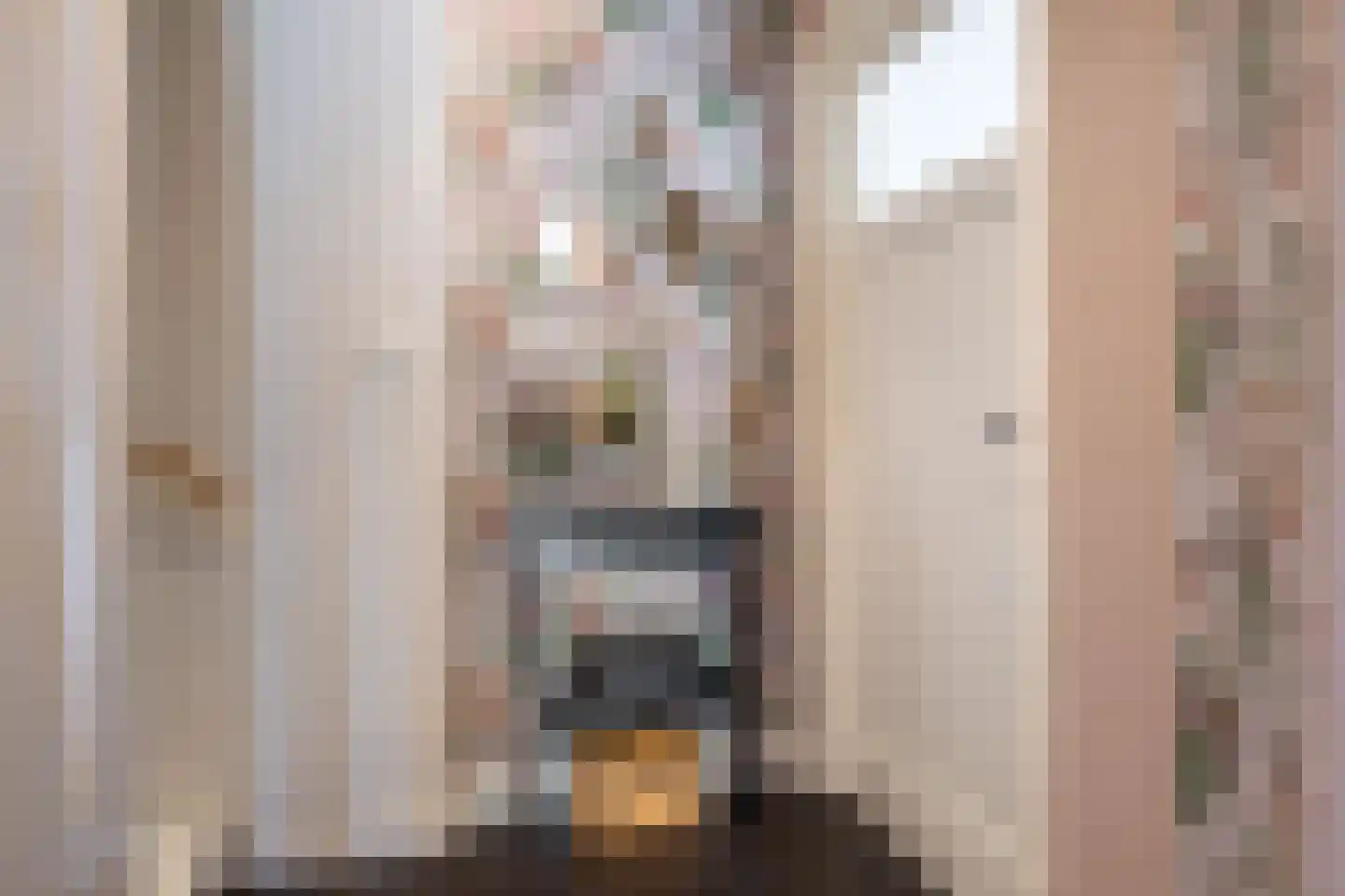 Amaliastraat 15 Sneek thumbnail 14