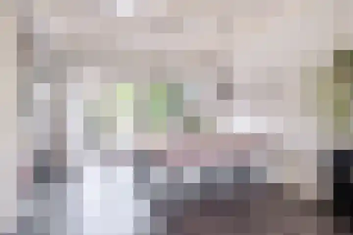 Amaliastraat 15 Sneek thumbnail 15