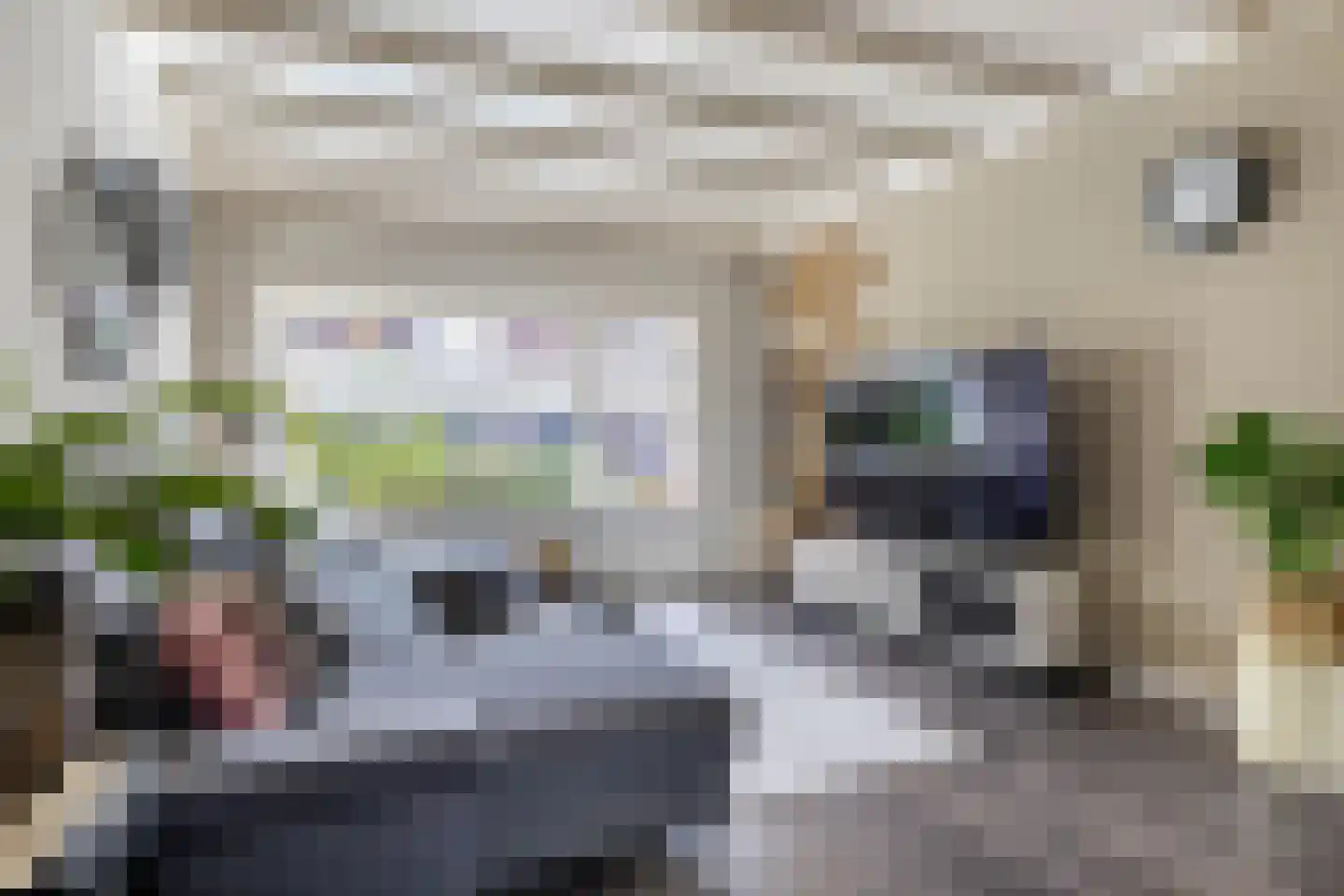 Amaliastraat 15 Sneek thumbnail 16