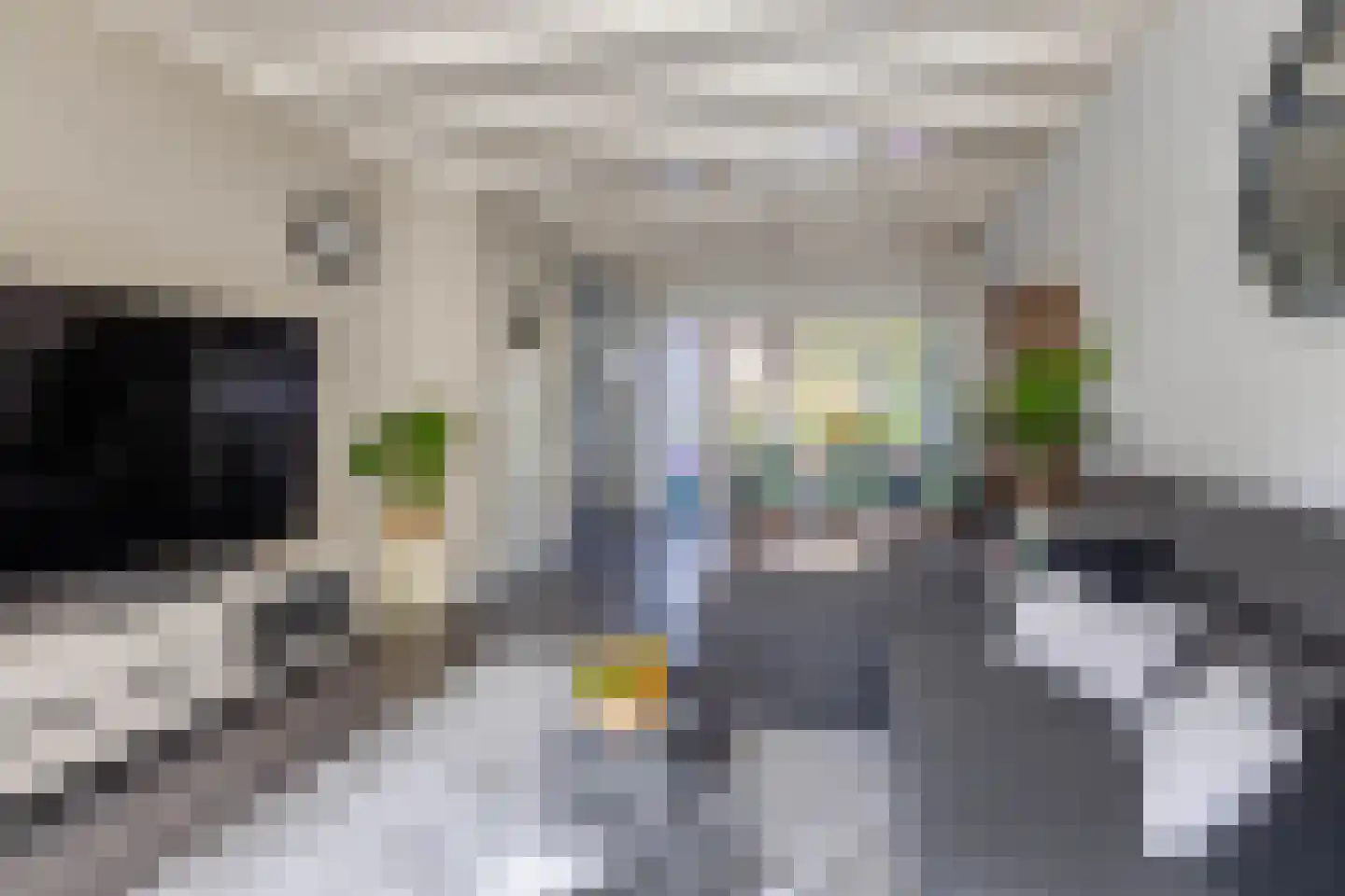 Amaliastraat 15 Sneek thumbnail 17
