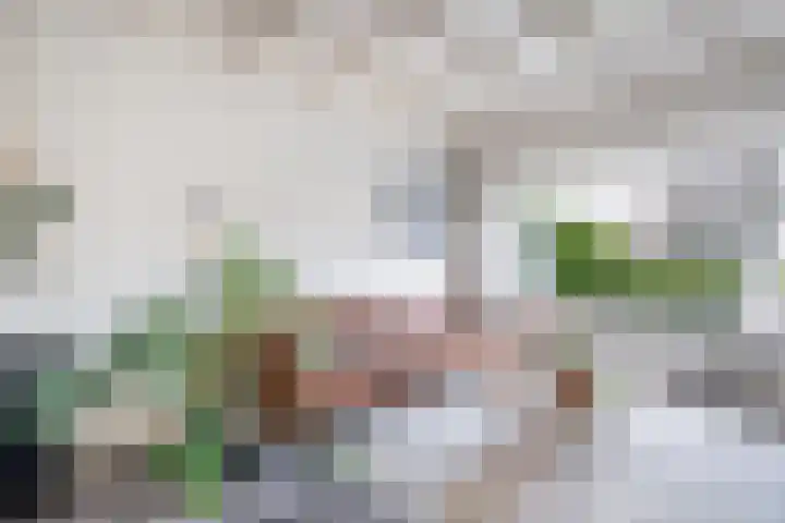 Amaliastraat 15 Sneek thumbnail 17