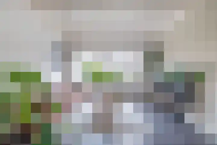 Amaliastraat 15 Sneek thumbnail 18