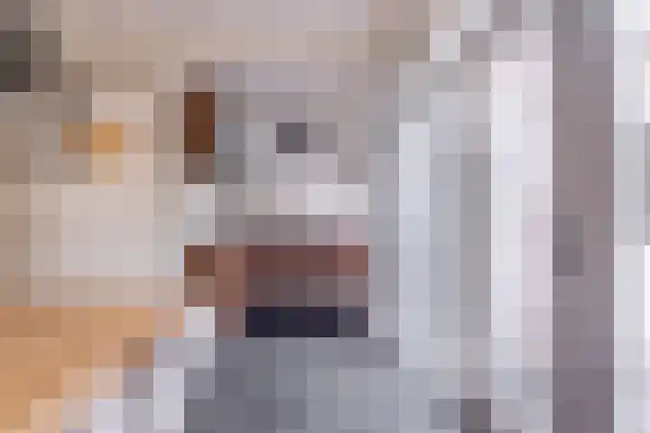Amaliastraat 15 Sneek thumbnail 23