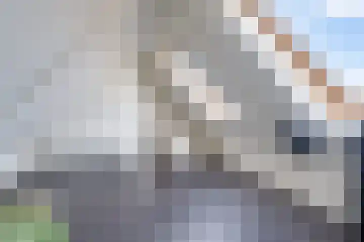 Amaliastraat 15 Sneek thumbnail 28
