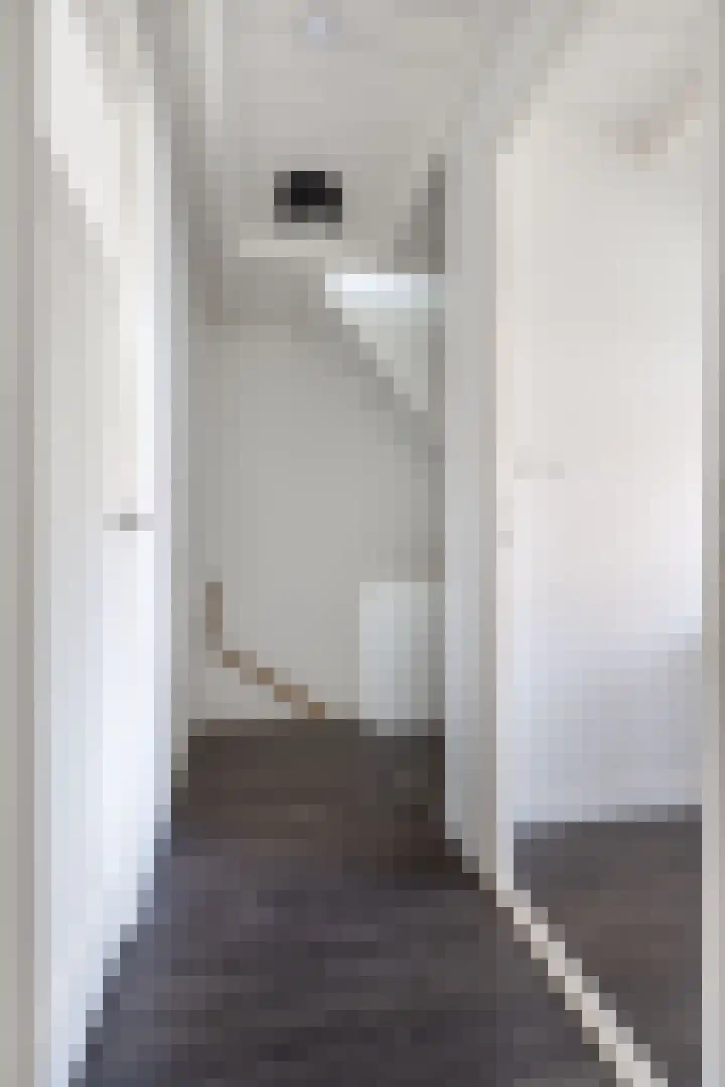 Amaliastraat 15 Sneek thumbnail 30