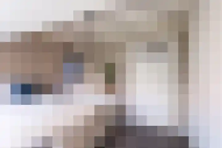 Amaliastraat 15 Sneek thumbnail 31