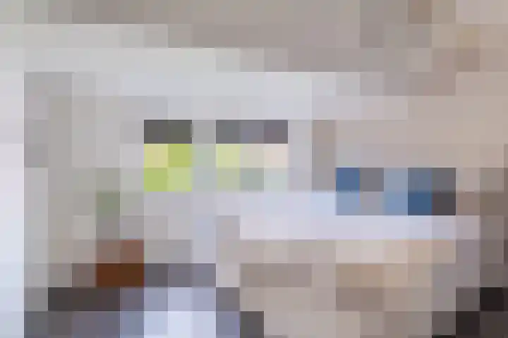 Amaliastraat 15 Sneek thumbnail 32
