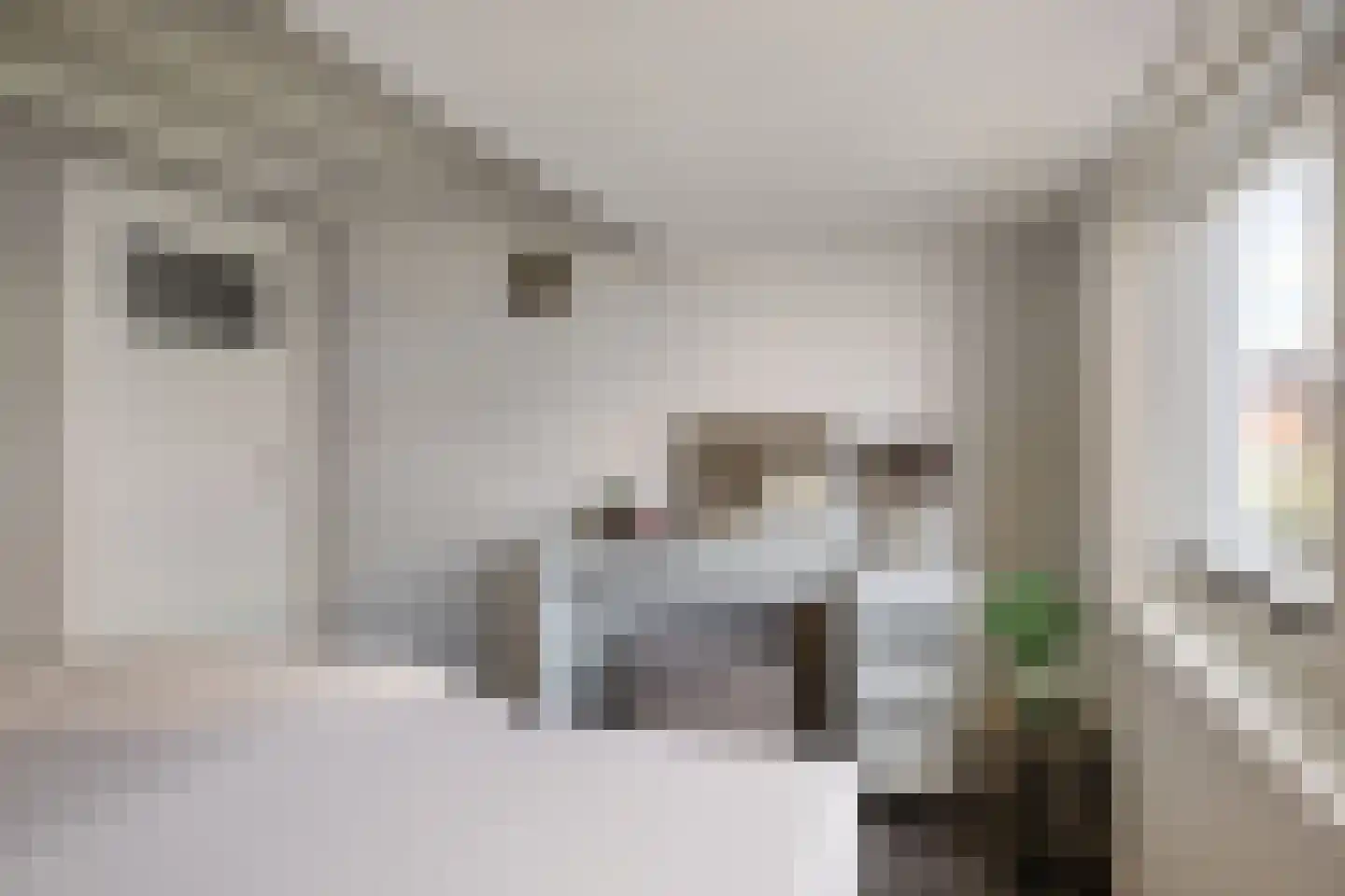 Amaliastraat 15 Sneek thumbnail 33