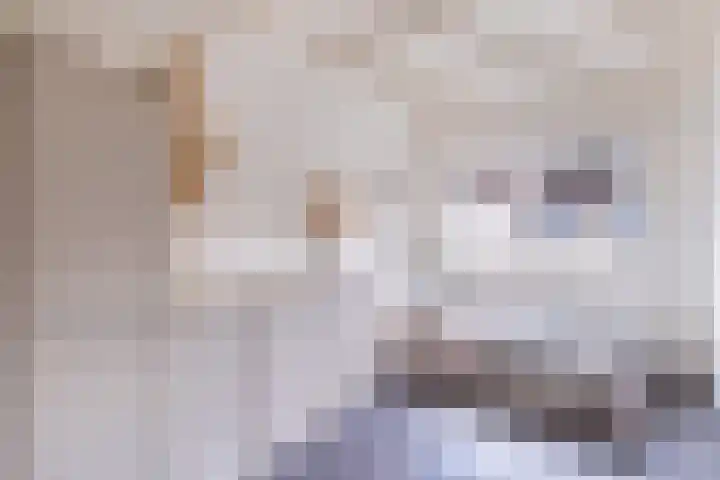 Amaliastraat 15 Sneek thumbnail 34