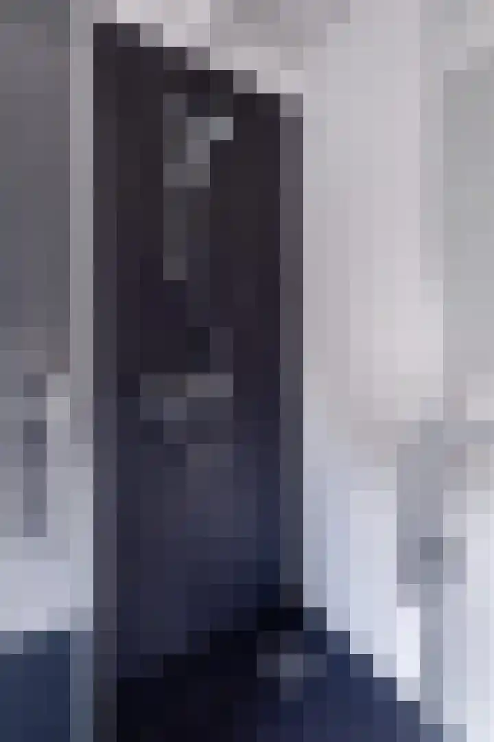 Amaliastraat 15 Sneek thumbnail 37