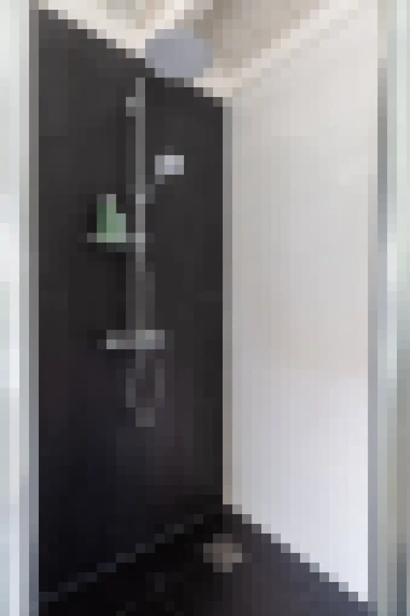 Amaliastraat 15 Sneek thumbnail 38