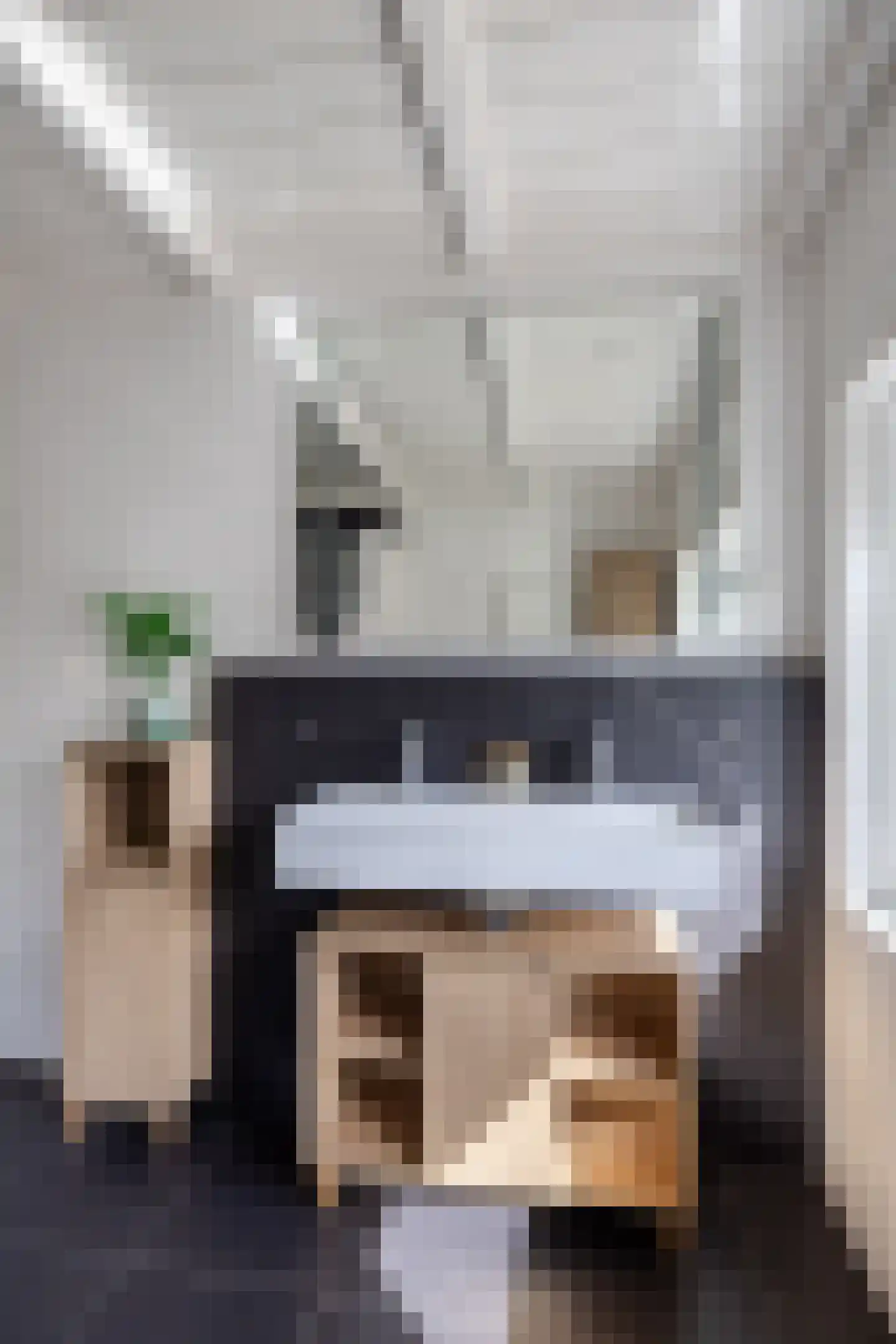 Amaliastraat 15 Sneek thumbnail 39