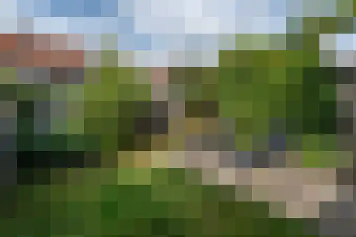 Amaliastraat 15 Sneek thumbnail 41