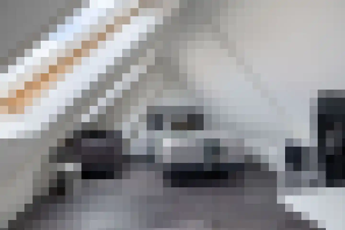 Amaliastraat 15 Sneek thumbnail 41