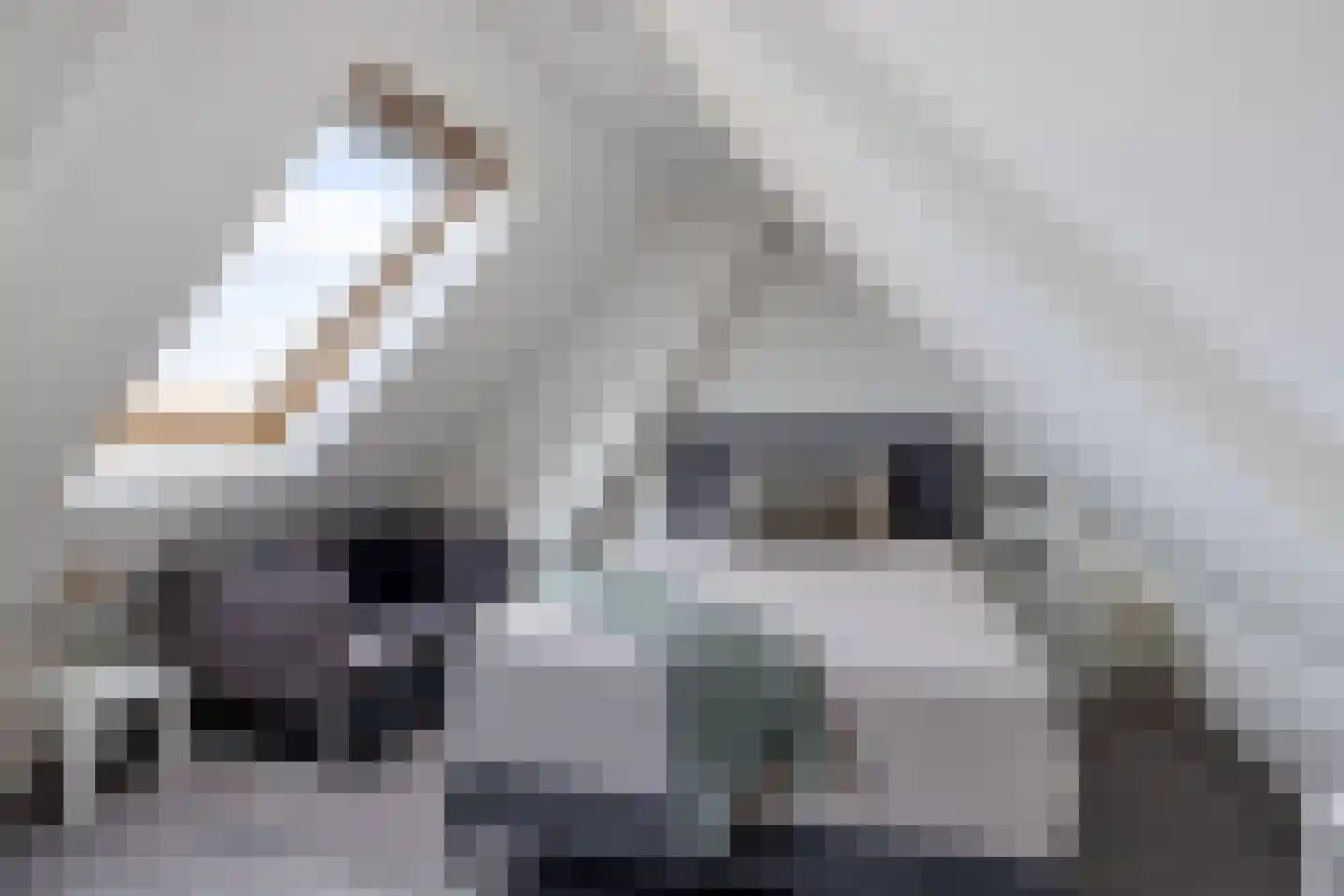 Amaliastraat 15 Sneek thumbnail 42
