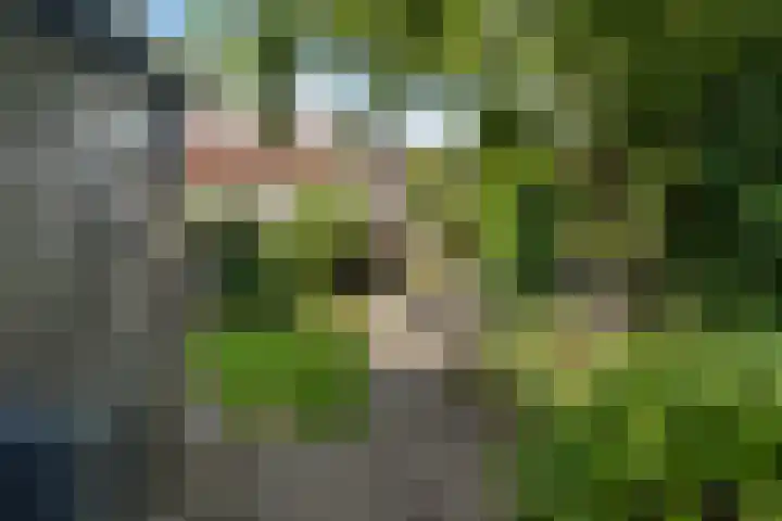 Amaliastraat 15 Sneek thumbnail 42