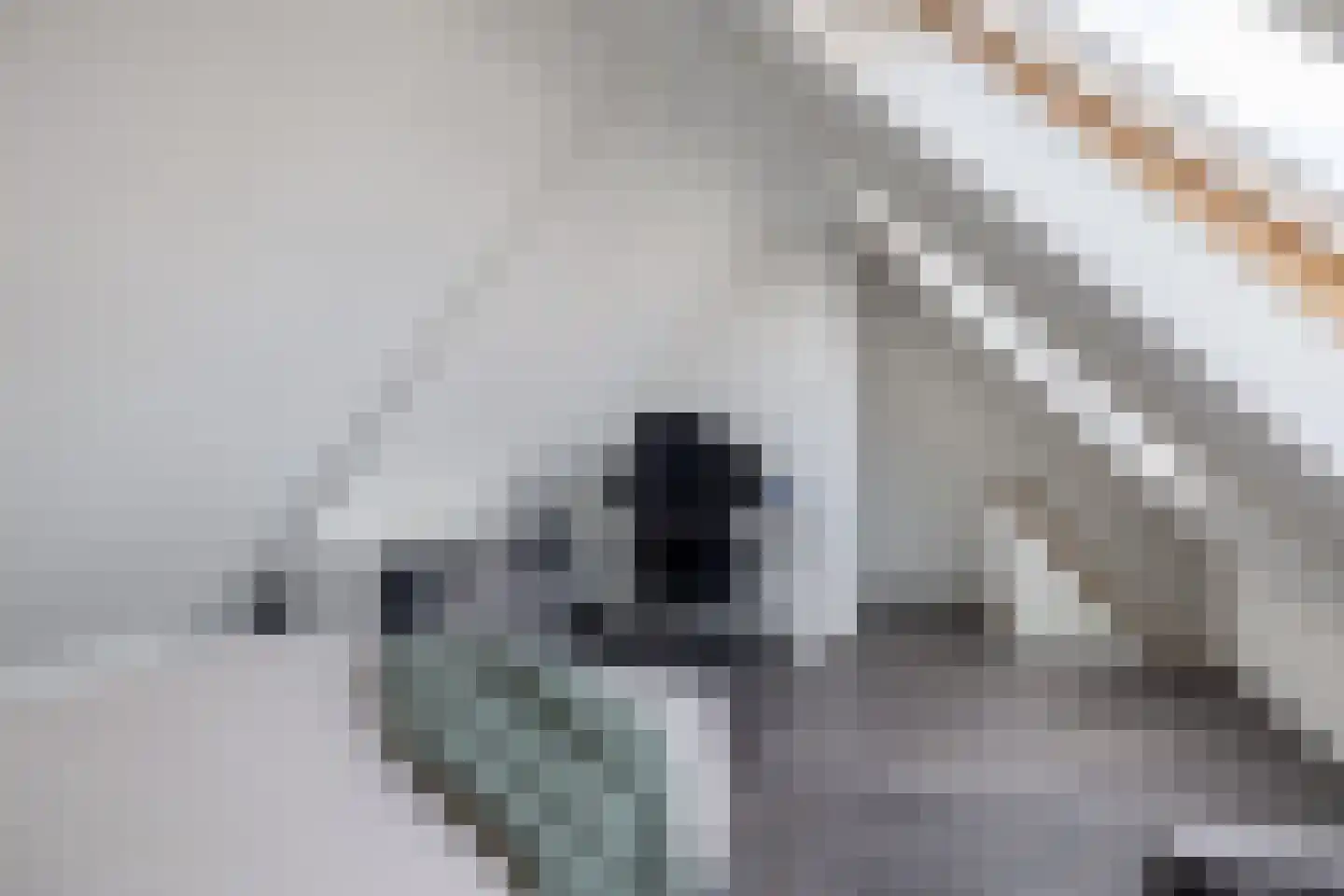 Amaliastraat 15 Sneek thumbnail 43