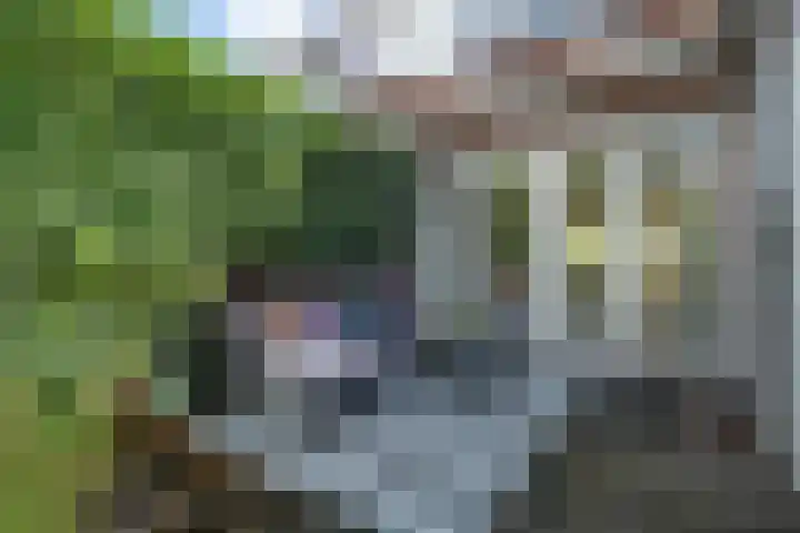 Amaliastraat 15 Sneek thumbnail 43