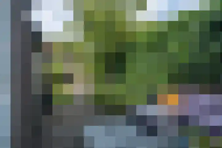 Amaliastraat 15 Sneek thumbnail 44