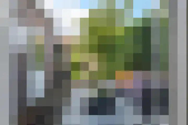 Amaliastraat 15 Sneek thumbnail 5