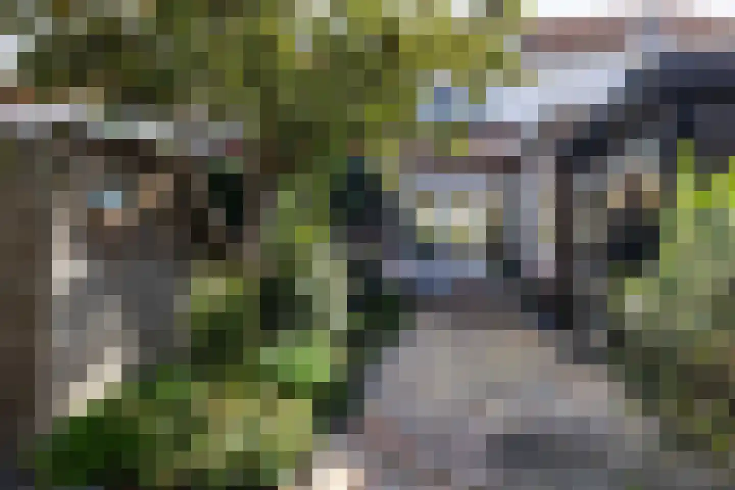 Amaliastraat 15 Sneek thumbnail 53