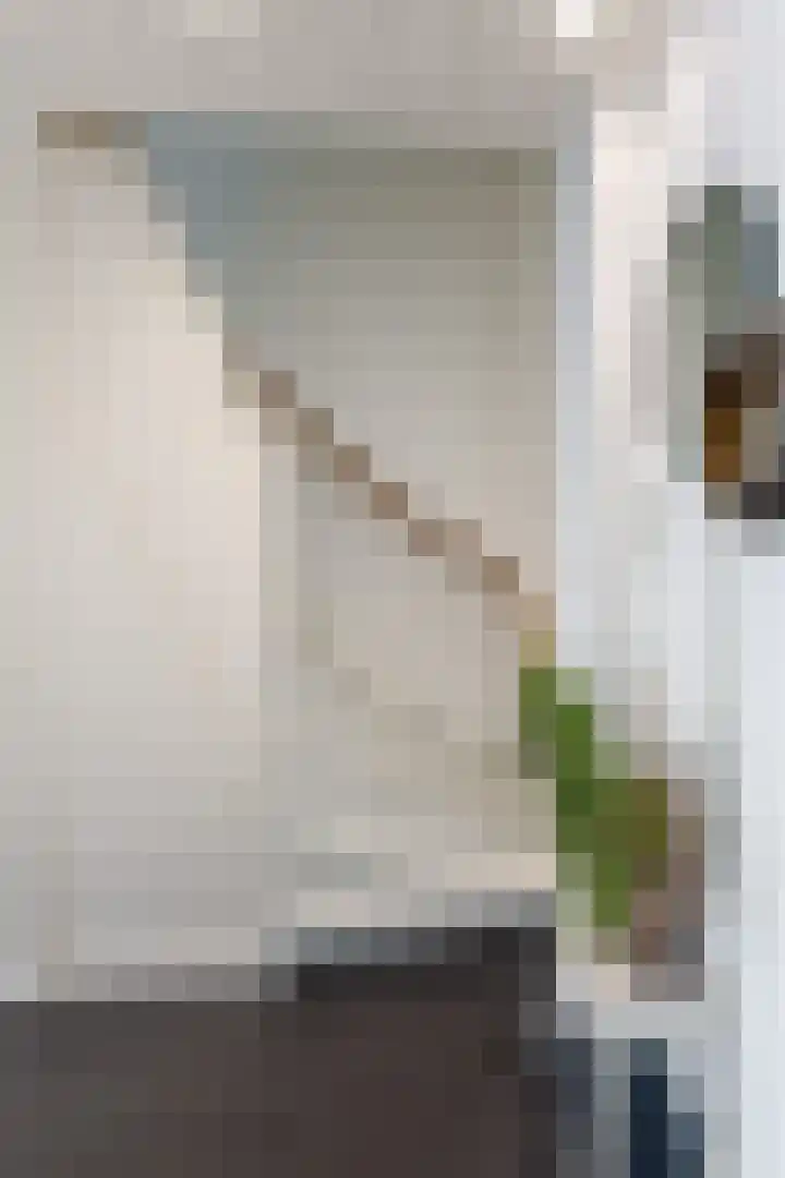 Amaliastraat 15 Sneek thumbnail 9