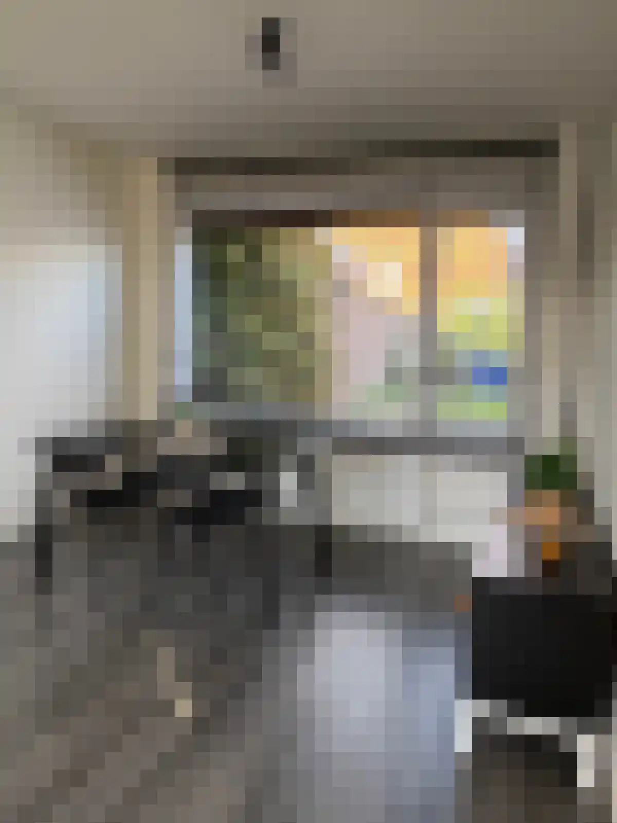 Amaliastraat 16 Sas van Gent thumbnail 4