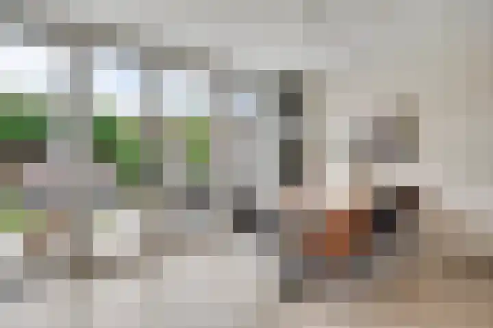 Amaliastraat 18 Nederweert thumbnail 13