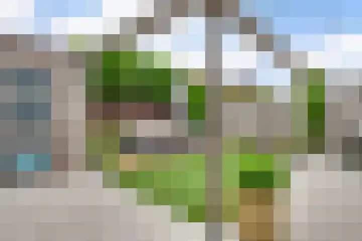 Amaliastraat 18 Nederweert thumbnail 20