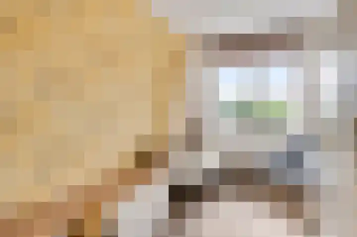 Amaliastraat 18 Nederweert thumbnail 26
