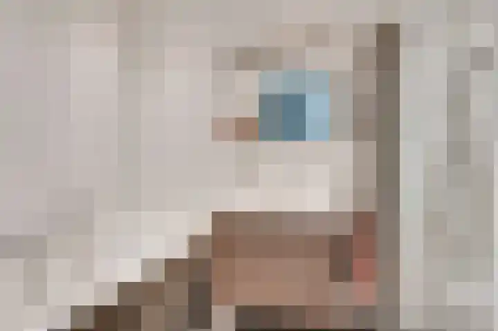Amaliastraat 18 Nederweert thumbnail 31