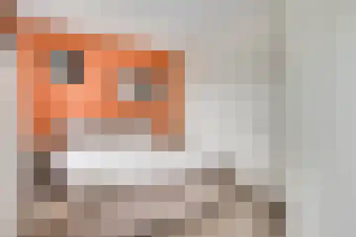 Amaliastraat 18 Nederweert thumbnail 35