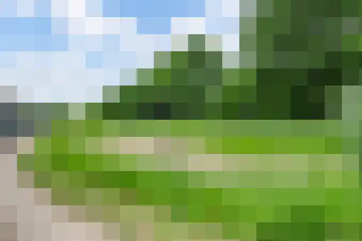 Amaliastraat 18 Nederweert thumbnail 42