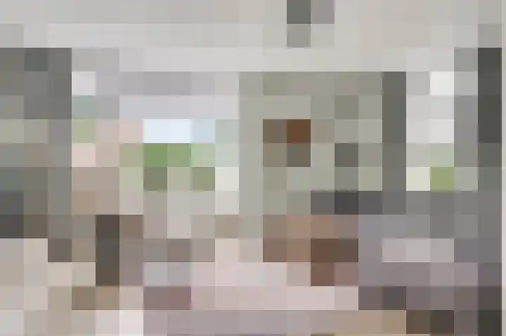 Amaliastraat 18 Nederweert thumbnail 6