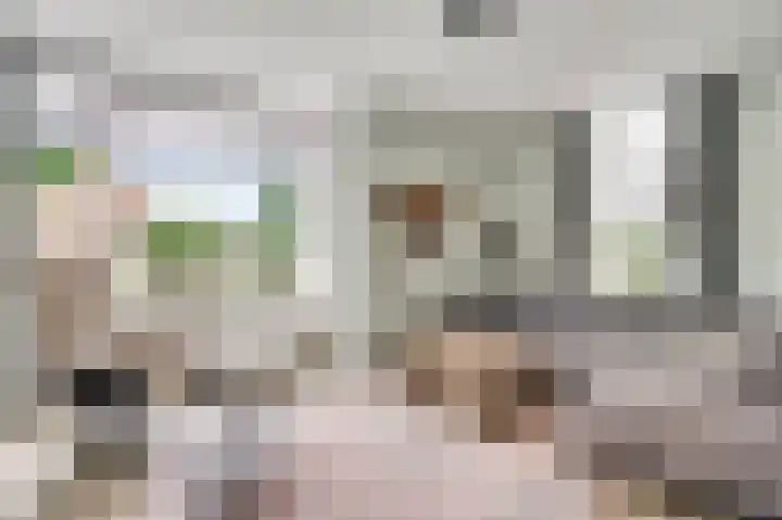 Amaliastraat 18 Nederweert thumbnail 8