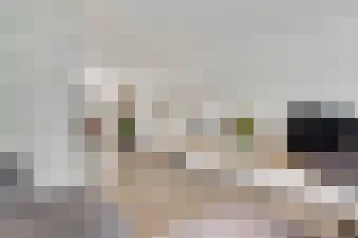 Amaliastraat 18 Nederweert thumbnail 9